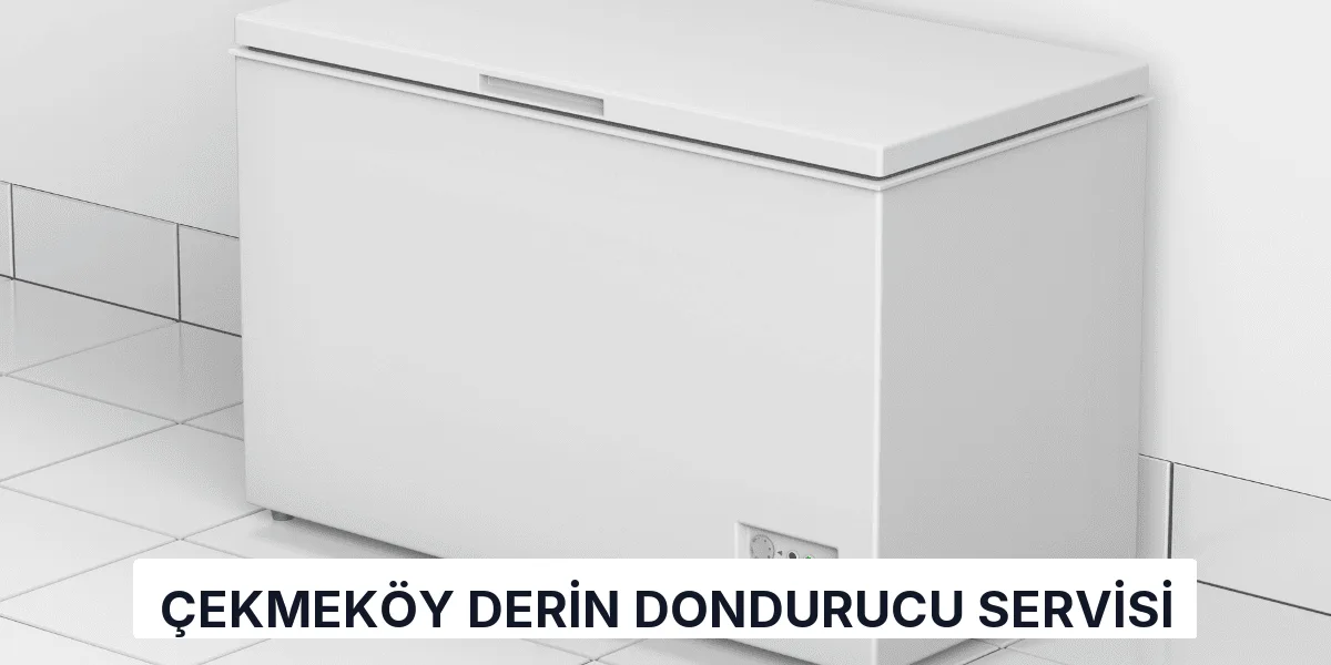 Çekmeköy Derin Dondurucu Servisi