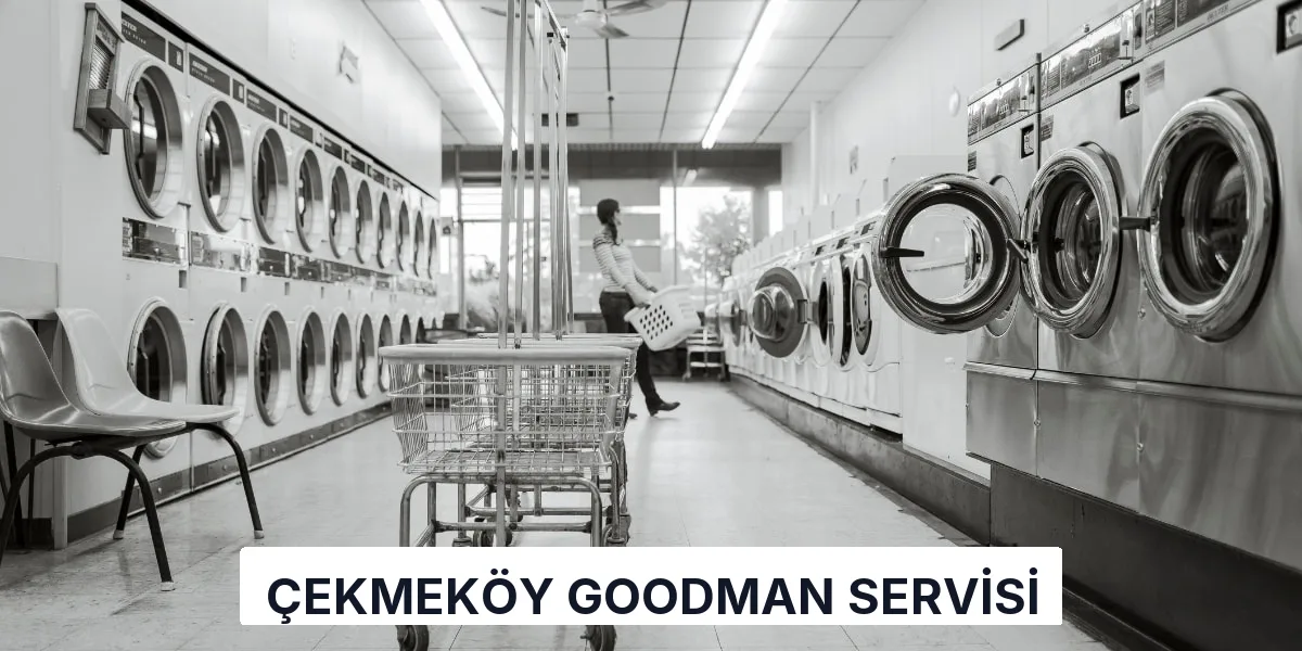 Çekmeköy Goodman Servisi